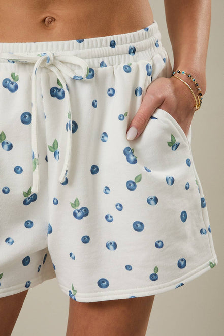 Blueberry Set
