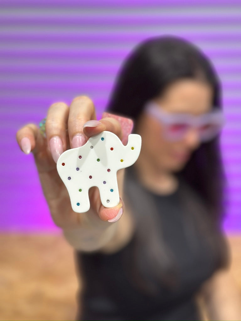 Animal Cookie Clips (Set)