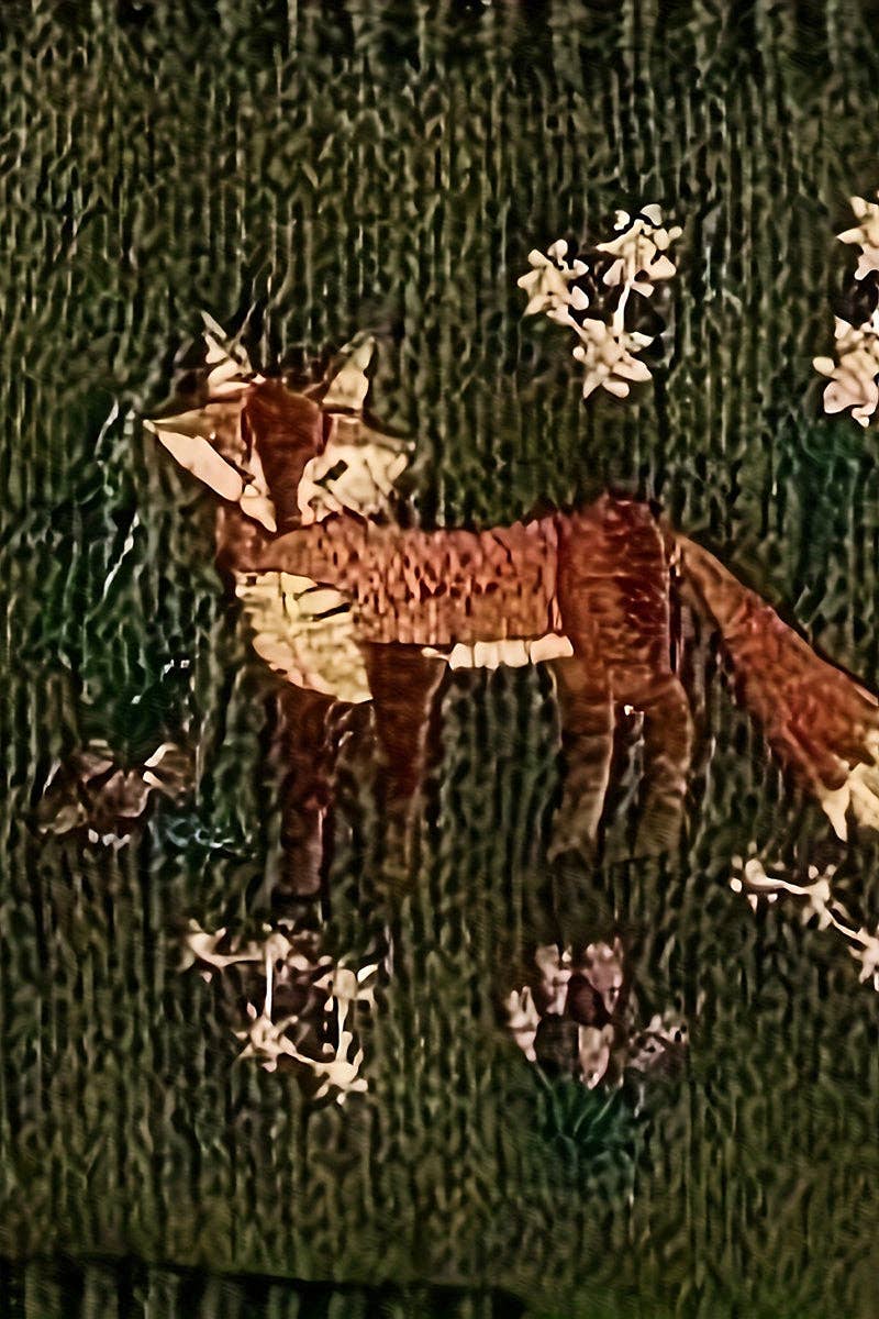 Juniper - Fox Cropped Cardigan