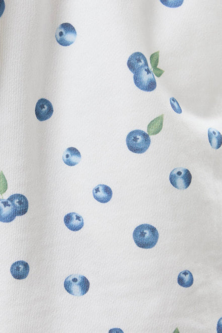 Blueberry Set